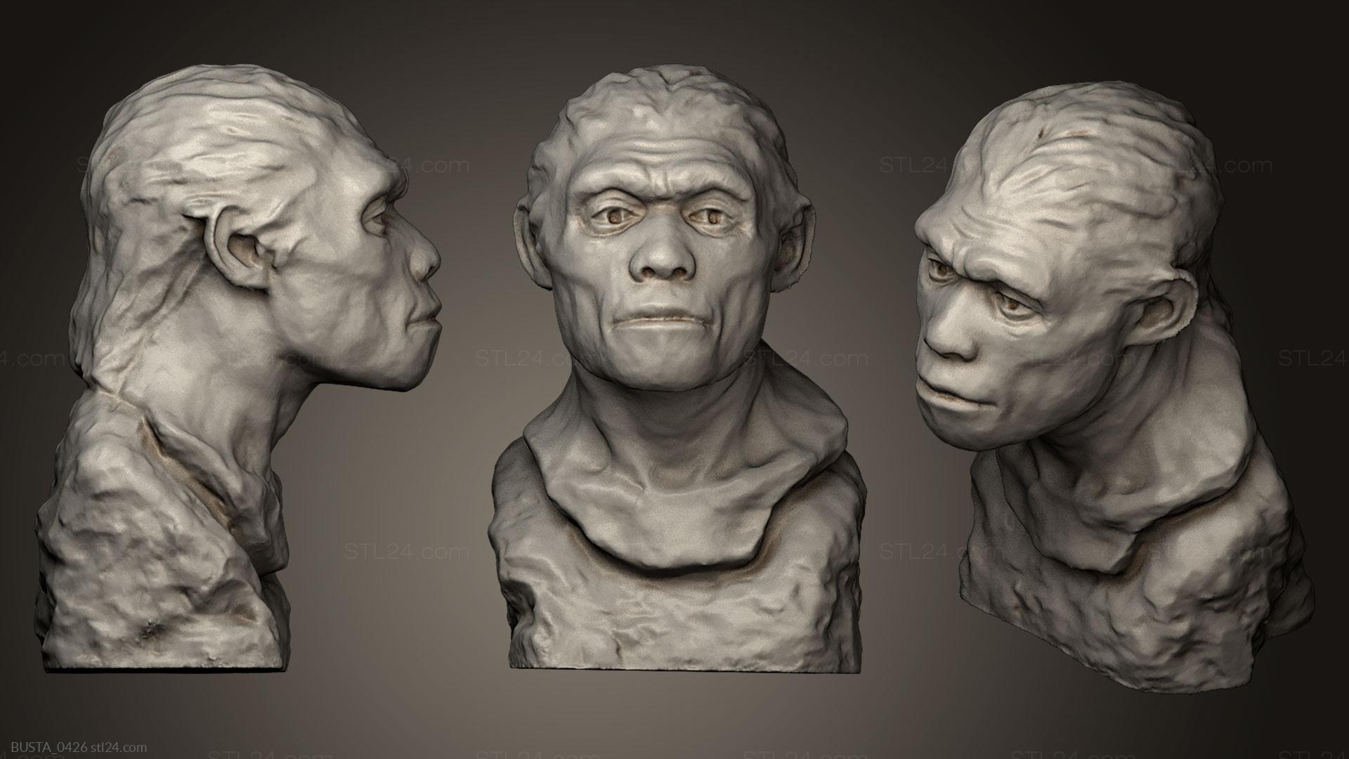 Бюсты и головы античные и исторические (Человек гейдельбергский, BUSTA_0426) 3D модель для ЧПУ станка